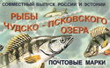 Fish of Chudsko-Pskovskoye Lake