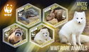 WWF World Wildlife Fund Rare Animals