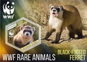 WWF World Wildlife Fund Rare Animals