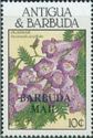 Jacaranda - Overprinted