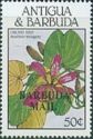Orchid Tree (Bauhinia monandra) - Overprinted