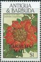 African Tulip Tree - Overprinted