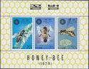 Honey Bee (Apis mellifera)