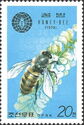 Honey Bee (Apis mellifera)