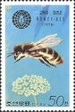 Honey Bee (Apis mellifera)