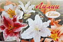 Greeting Stamps - Lilies