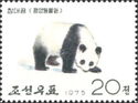 Giant Panda (Ailuropoda melanoleuca)