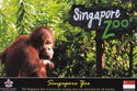 Singapore ZOO