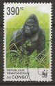 Eastern Lowland Gorilla (Gorilla gorilla graueri)