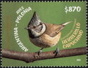 Crested tit (Lophophanes cristatus)