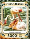 Greater Flamingo (Phoenicopterus roseus), Great White Pelica