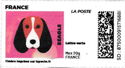 Beagle. Redesign without laposte logo