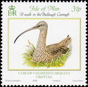 Eurasian Curlew (Numenius arquata)