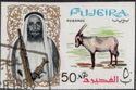 Arabian Oryx (Oryx leucoryx)