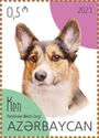 Ken - Pembroke Welsh Corgi