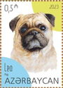 Leo - Pug