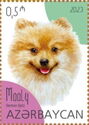 Mooly - German Spitz