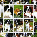 Dogs St. Bernard
