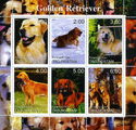 Dogs Golden Retriever