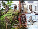 Birds of Belarus - Strigiformes (2023)
