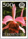 Orchids with Rotary International Logo