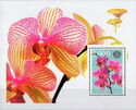 Orchids with Rotary International Logo