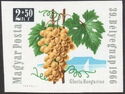 39th Stamp Day - Grape and Lake Balaton