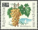 39th Stamp Day - Grape and Lake Balaton