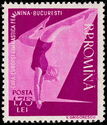 Woman Gymnast on the Balance Beam
