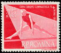Woman Gymnast on the Parallel Bars
