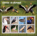 Birds of Burundi