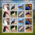 Birds of Burundi