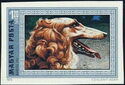 Borzoi (Canis lupus familiaris)