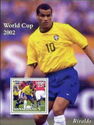 Football Soccer World Cup Rivaldo