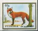Red Fox (Vulpes vulpes)