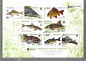 Freshwater Fishes (booklet)