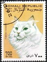 Turkish Angora
