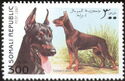 Dobermann