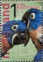 Hyacinth Macaw (Anodorhynchus hyacinthinus)