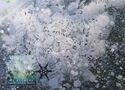 Light-blue Ice Flower