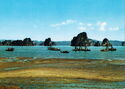 Ha Long Bay
