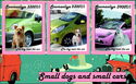 Small Dogs and Small Cars