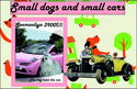 Small Dogs and Small Cars