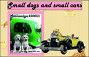 Small Dogs and Small Cars