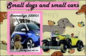 Small Dogs and Small Cars