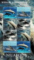 Dolphins & Whales of the World