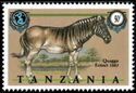 Quagga (Equus quagga quagga)