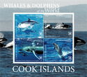 Whales & Dolphins