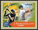 Cricket Players David Wright (Gold Border)