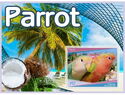 Fauna Parrots